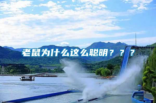 老鼠為什么這么聰明？？？