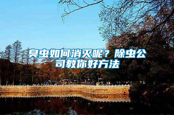 臭蟲如何消滅呢？除蟲公司教你好方法