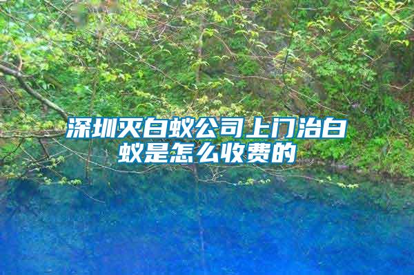 深圳滅白蟻公司上門治白蟻是怎么收費(fèi)的