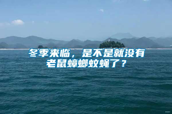 冬季來(lái)臨，是不是就沒(méi)有老鼠蟑螂蚊蠅了？