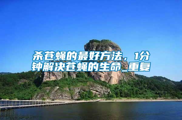 殺蒼蠅的最好方法，1分鐘解決蒼蠅的生命_重復(fù)