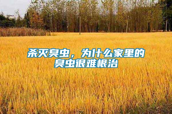 殺滅臭蟲(chóng)，為什么家里的臭蟲(chóng)很難根治