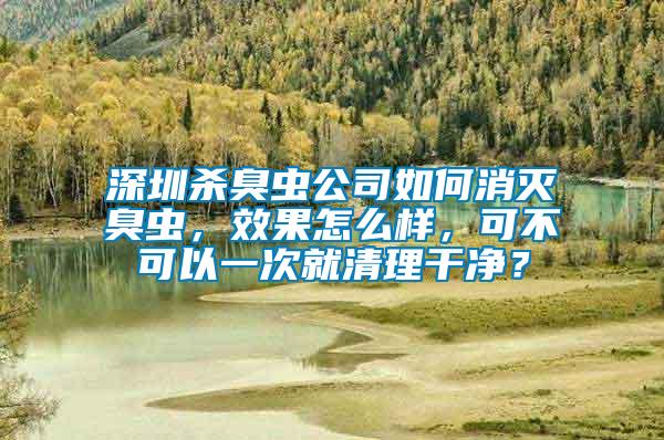 深圳殺臭蟲公司如何消滅臭蟲，效果怎么樣，可不可以一次就清理干凈？