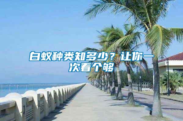 白蟻種類知多少？讓你一次看個夠