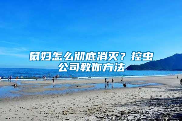 鼠婦怎么徹底消滅？控蟲公司教你方法