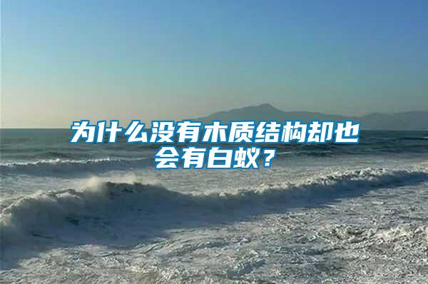 為什么沒有木質結構卻也會有白蟻？