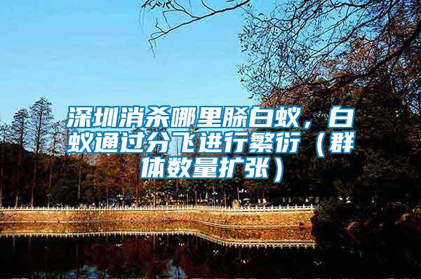 深圳消殺哪里脎白蟻，白蟻通過分飛進(jìn)行繁衍（群體數(shù)量擴(kuò)張）