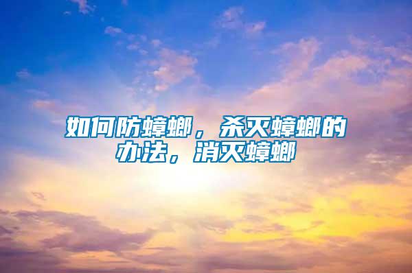 如何防蟑螂，殺滅蟑螂的辦法，消滅蟑螂