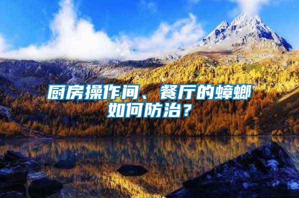 廚房操作間、餐廳的蟑螂如何防治？