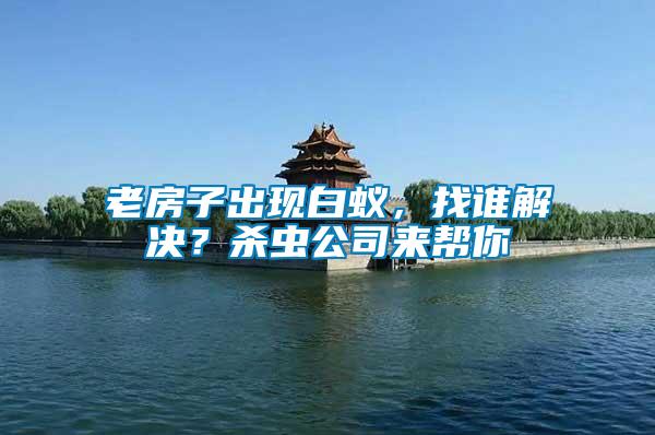 老房子出現(xiàn)白蟻，找誰解決？殺蟲公司來幫你