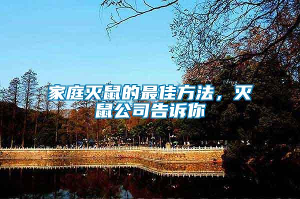 家庭滅鼠的最佳方法，滅鼠公司告訴你