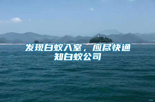 發(fā)現(xiàn)白蟻入室，應(yīng)盡快通知白蟻公司