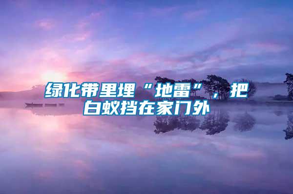 綠化帶里埋“地雷”，把白蟻擋在家門外