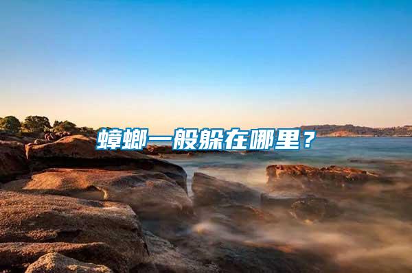 蟑螂一般躲在哪里？
