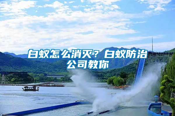 白蟻怎么消滅？白蟻防治公司教你