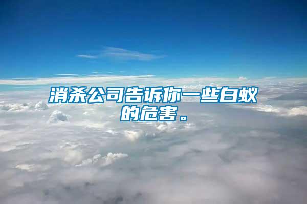 消殺公司告訴你一些白蟻的危害。