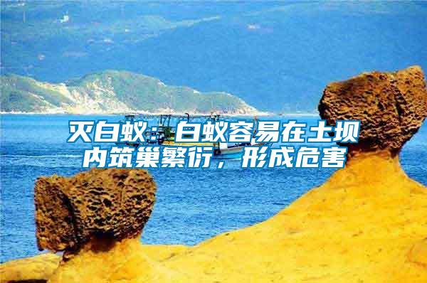 滅白蟻：白蟻容易在土壩內(nèi)筑巢繁衍，形成危害