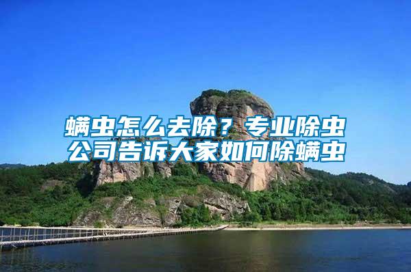 螨蟲(chóng)怎么去除？專(zhuān)業(yè)除蟲(chóng)公司告訴大家如何除螨蟲(chóng)