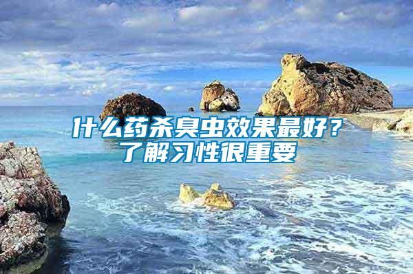 什么藥殺臭蟲效果最好？了解習性很重要