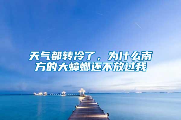 天氣都轉冷了，為什么南方的大蟑螂還不放過我