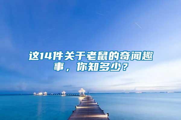 這14件關(guān)于老鼠的奇聞趣事，你知多少？