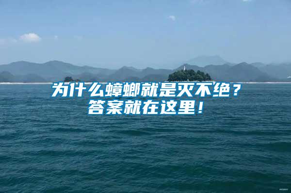 為什么蟑螂就是滅不絕？答案就在這里！