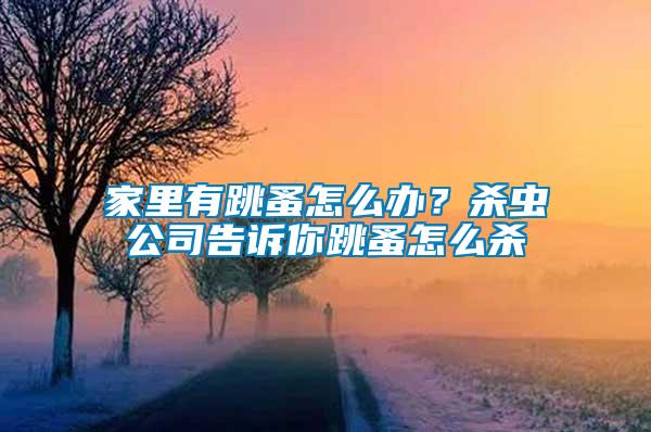 家里有跳蚤怎么辦？殺蟲公司告訴你跳蚤怎么殺