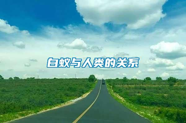 白蟻與人類(lèi)的關(guān)系