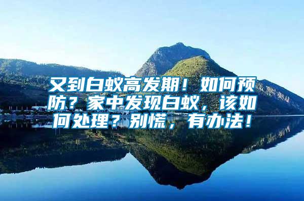 又到白蟻高發(fā)期！如何預(yù)防？家中發(fā)現(xiàn)白蟻，該如何處理？別慌，有辦法！