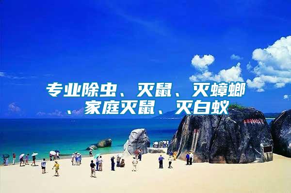 專業(yè)除蟲、滅鼠、滅蟑螂、家庭滅鼠、滅白蟻