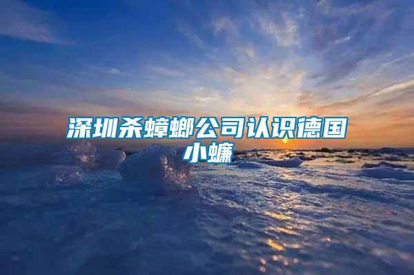 深圳殺蟑螂公司認(rèn)識德國小蠊