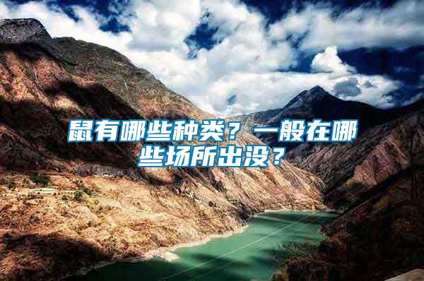 鼠有哪些種類？一般在哪些場所出沒？