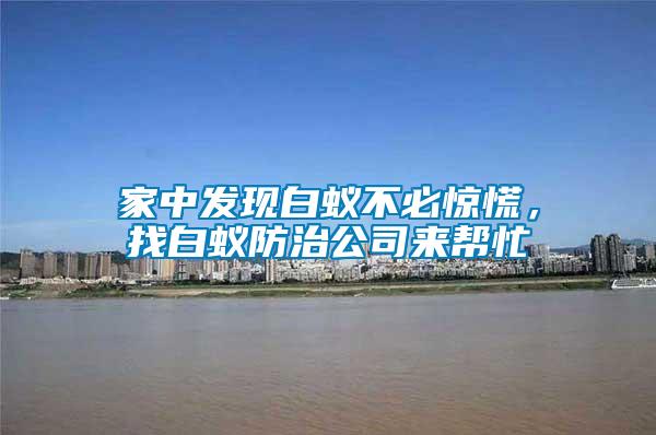 家中發(fā)現(xiàn)白蟻不必驚慌，找白蟻防治公司來幫忙