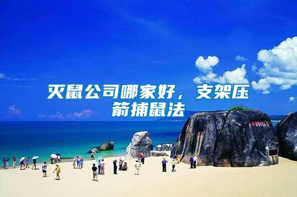 滅鼠公司哪家好，支架壓箭捕鼠法