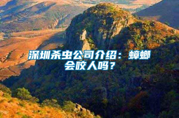 深圳殺蟲公司介紹：蟑螂會咬人嗎？
