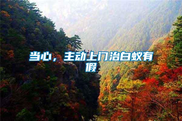 當心，主動上門治白蟻有假