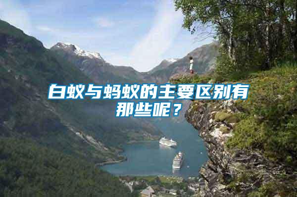 白蟻與螞蟻的主要區(qū)別有那些呢？