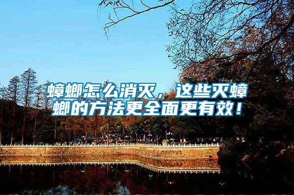 蟑螂怎么消滅，這些滅蟑螂的方法更全面更有效！