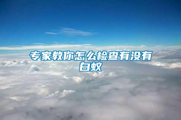 專家教你怎么檢查有沒(méi)有白蟻