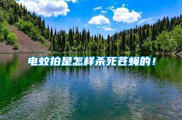 電蚊拍是怎樣殺死蒼蠅的！