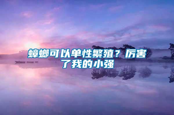 蟑螂可以單性繁殖？厲害了我的小強(qiáng)