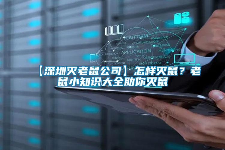 【深圳滅老鼠公司】怎樣滅鼠？老鼠小知識大全助你滅鼠