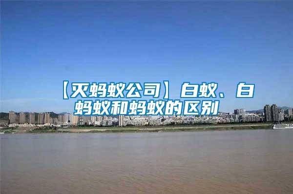 【滅螞蟻公司】白蟻、白螞蟻和螞蟻的區(qū)別