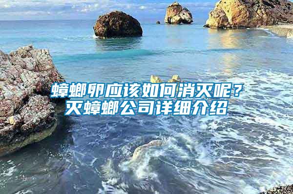蟑螂卵應(yīng)該如何消滅呢？滅蟑螂公司詳細介紹