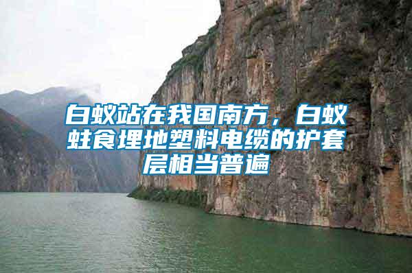 白蟻站在我國南方，白蟻蛀食埋地塑料電纜的護(hù)套層相當(dāng)普遍