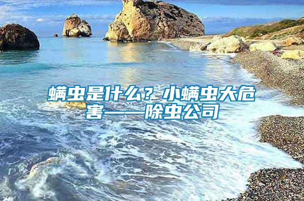 螨蟲是什么？小螨蟲大危害——除蟲公司