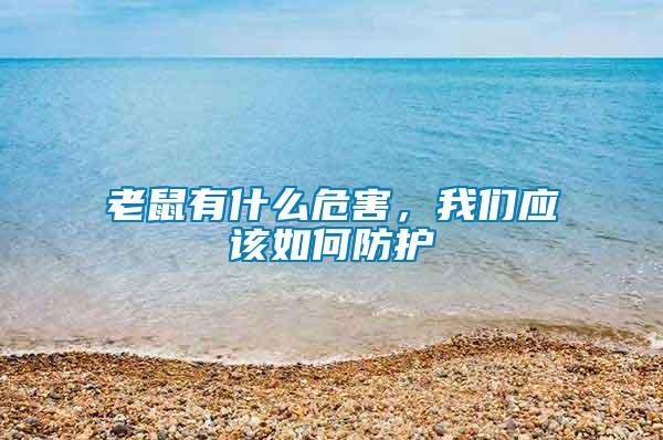 老鼠有什么危害，我們應(yīng)該如何防護(hù)