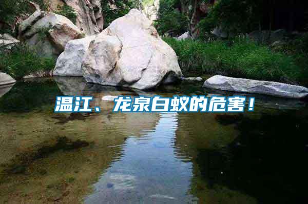 溫江、龍泉白蟻的危害！