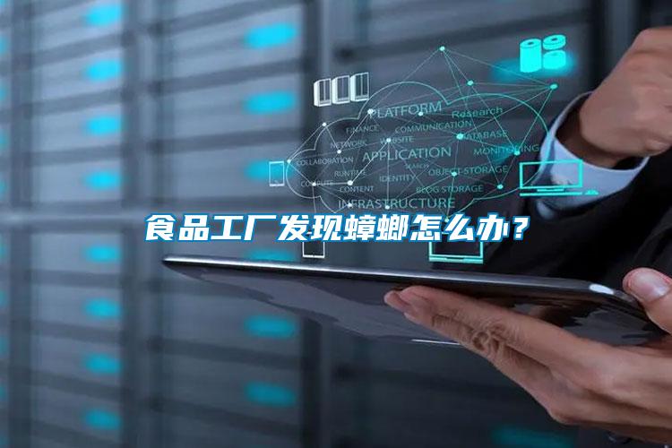 食品工廠發(fā)現(xiàn)蟑螂怎么辦？