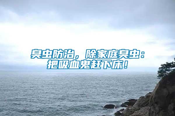 臭蟲防治，除家庭臭蟲：把吸血鬼趕下床！